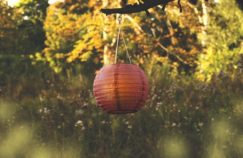 Decorative hanging planters